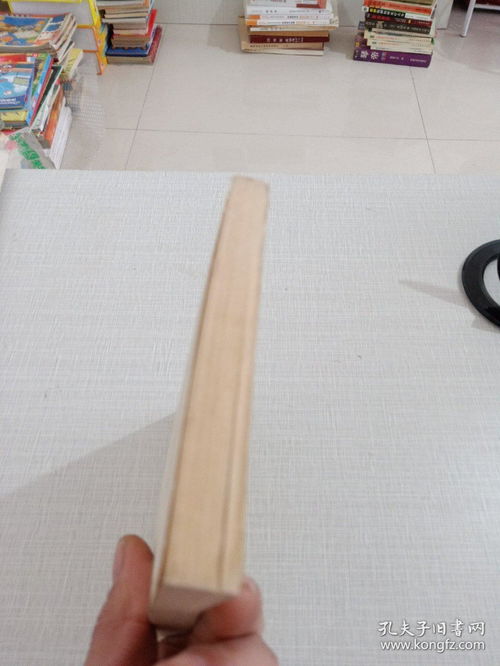 小化工產(chǎn)品工藝300例